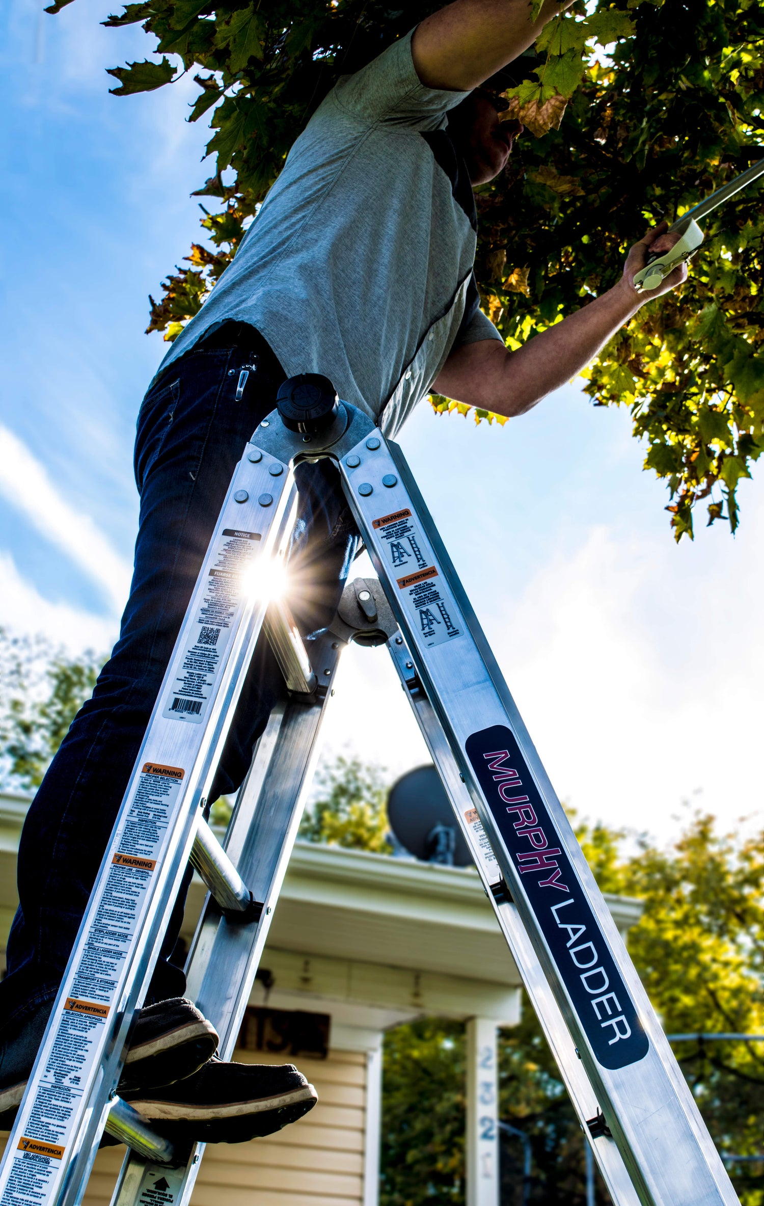 Collections Murphy Ladder